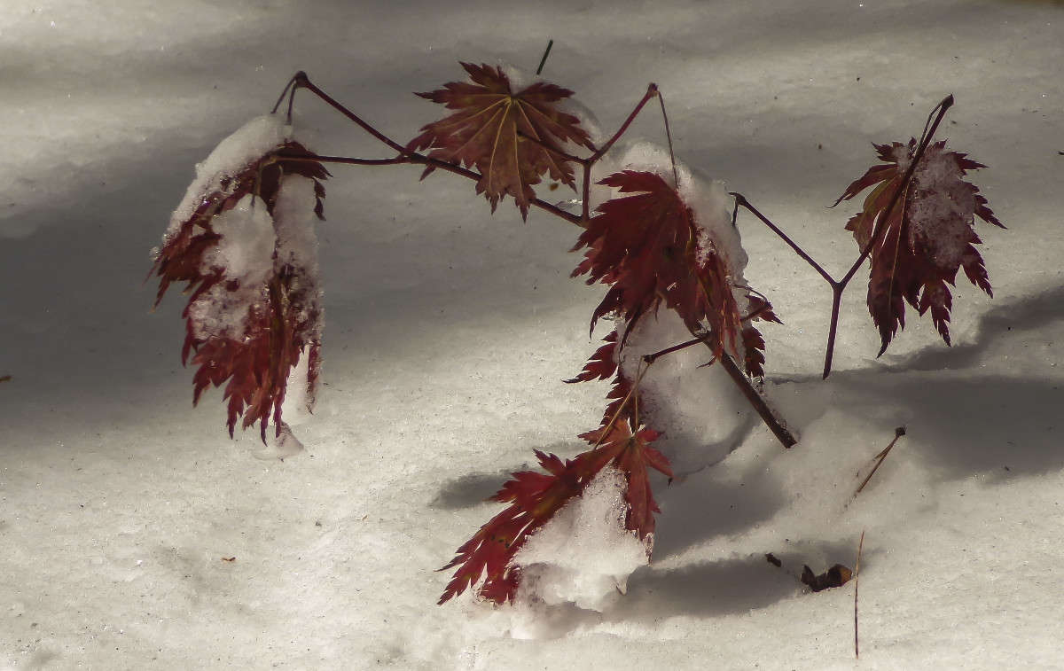 �������-����� ����� ������� ��������� �� PhotoGeek.ru #������ ��� ������� #����� ��������������