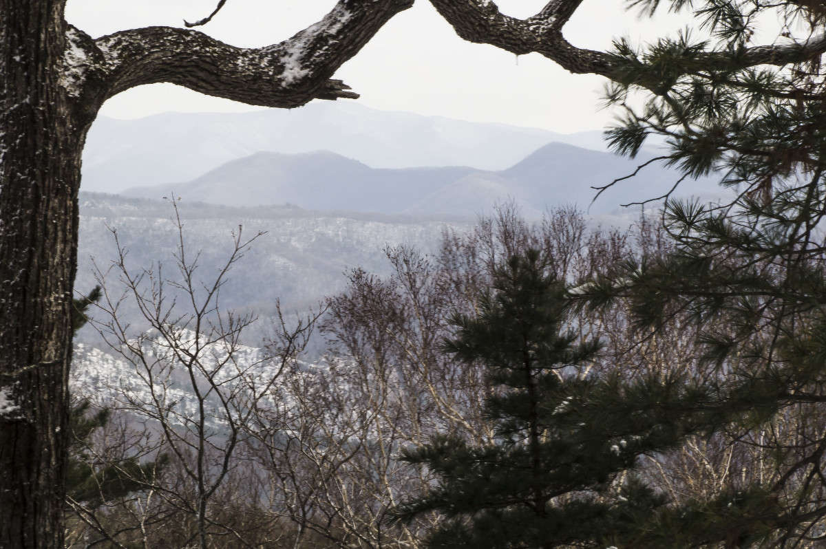 � ������ ��� ����� ������� ��������� �� PhotoGeek.ru #������ ��� �������