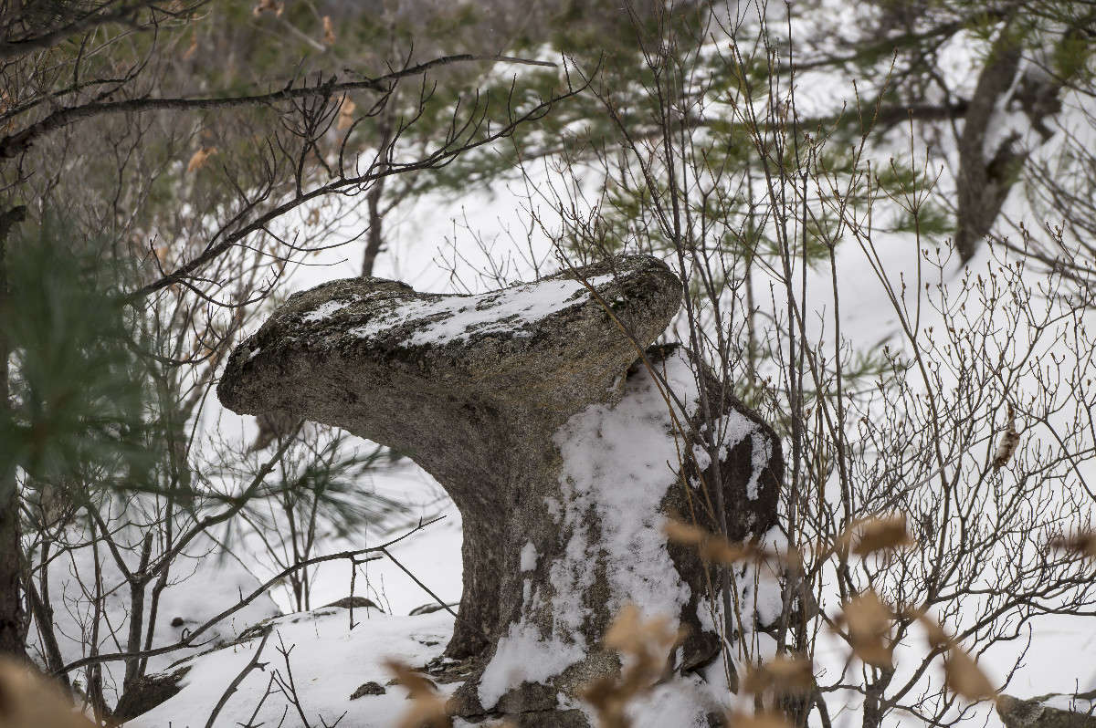 ������� (����) ����� ������� ��������� �� PhotoGeek.ru #������ ��� ������� #���������