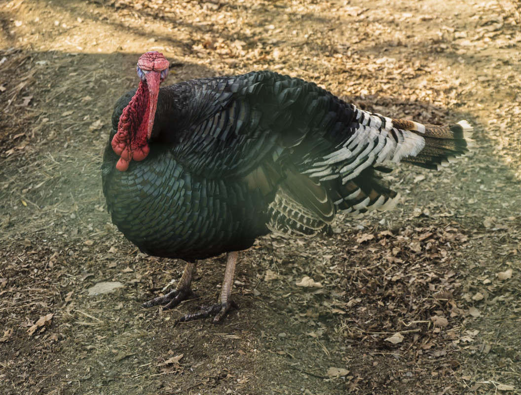 *** ����� ������� ��������� �� PhotoGeek.ru #�������� ���