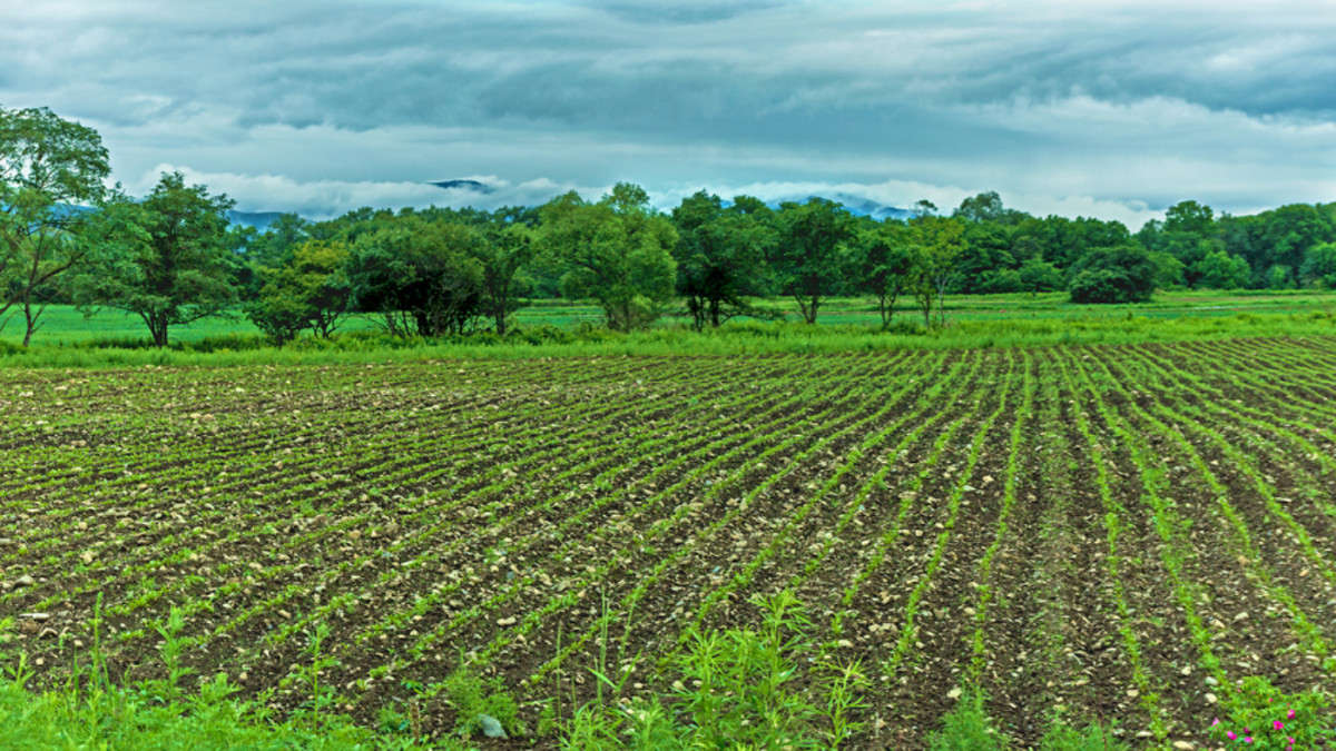 ����...������� ����... ����� ������� ��������� �� PhotoGeek.ru #������ ��� �������