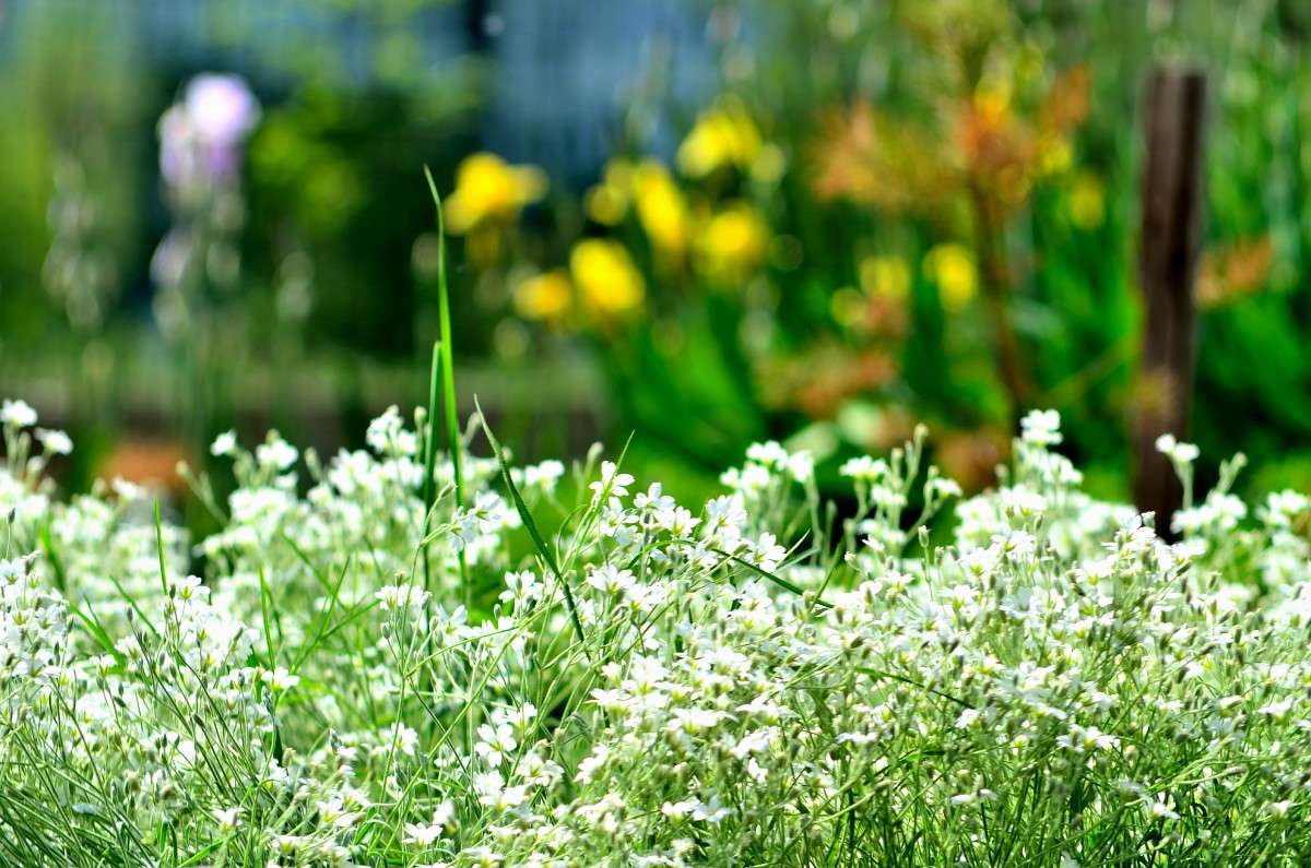 ... ����� �����  �� PhotoGeek.ru #������ ��� �������