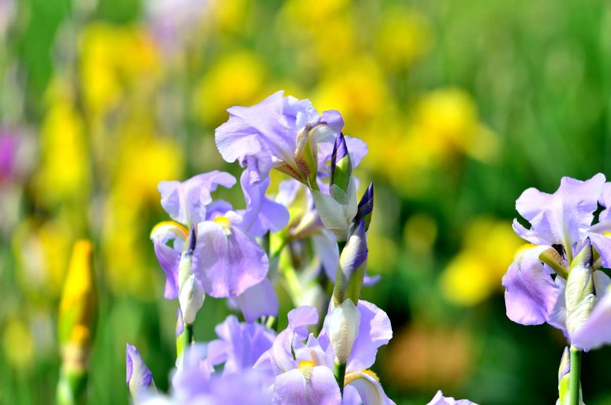 ... ����� �����  �� PhotoGeek.ru #������ ��� �������