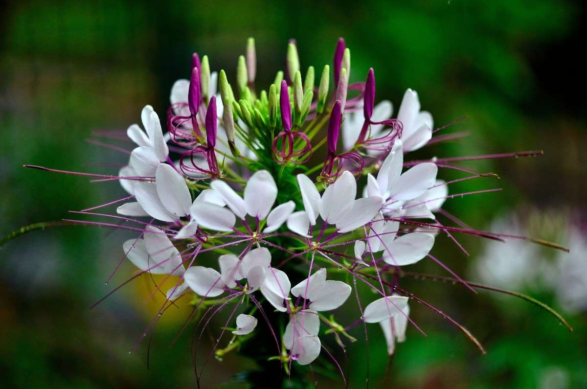 ... ����� �����  �� PhotoGeek.ru #������ ��� �������