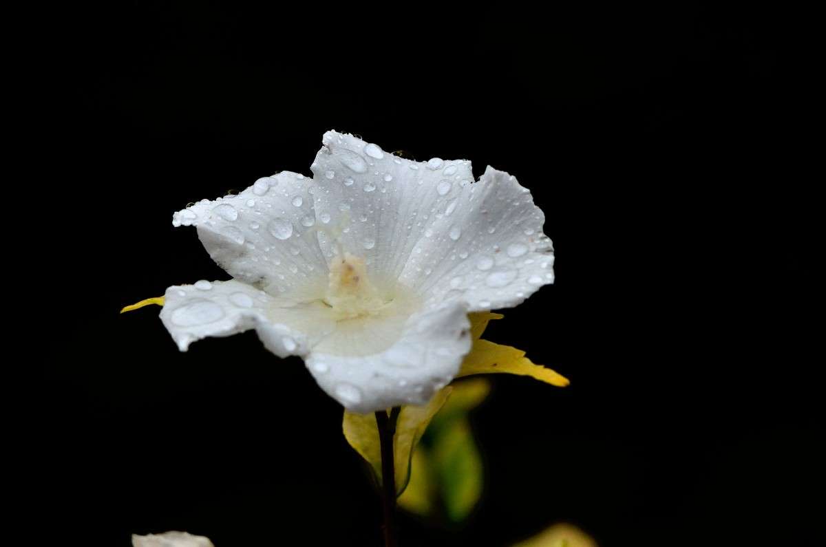 ... ����� �����  �� PhotoGeek.ru #������ ��� �������