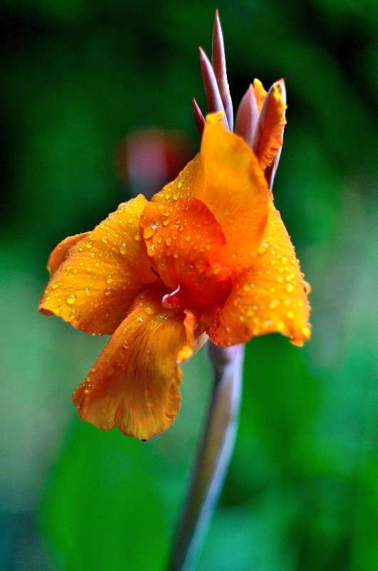 ... ����� �����  �� PhotoGeek.ru #������ ��� �������