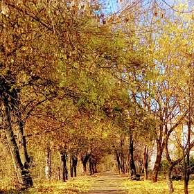 Осенняя прогулка