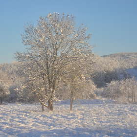 зима в горах Адыгеи