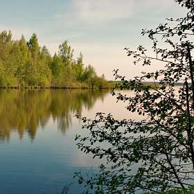 Берег озера Сестрорецкий Разлив. (2)