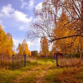 Ворота в осень