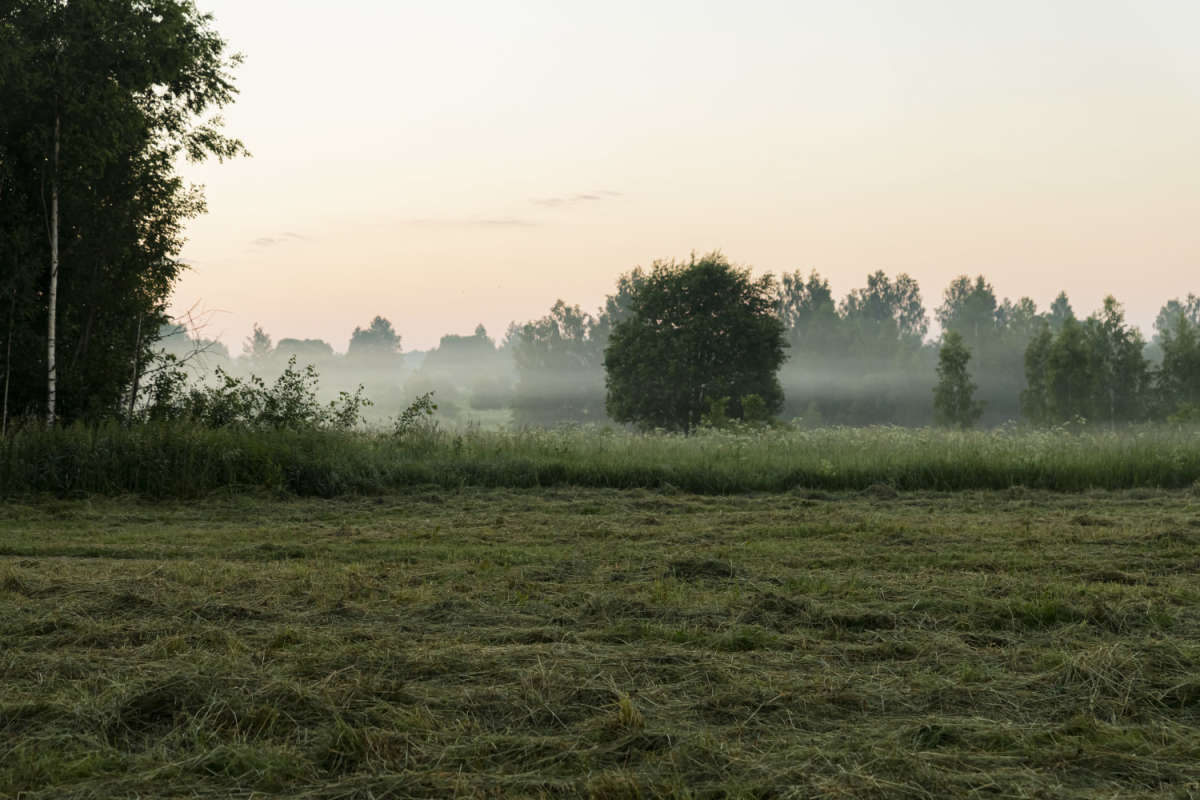 � ���� ����� ���������  �� PhotoGeek.ru #������ ��� �������