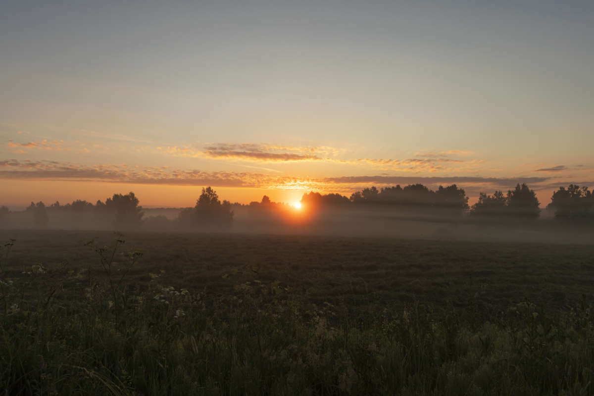 � ������ �������� ����� ���������  �� PhotoGeek.ru #������ ��� �������