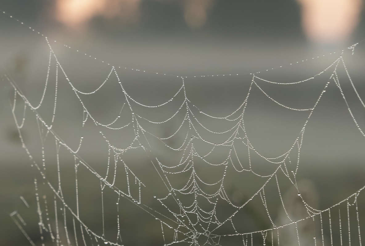 �������� ����� ���������  �� PhotoGeek.ru #������ ��� �������