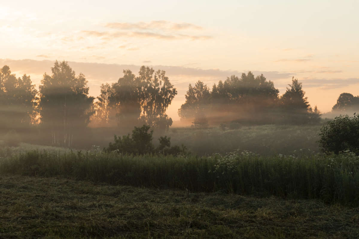 ���� ������� ��� ����� ���������  �� PhotoGeek.ru #������ ��� �������