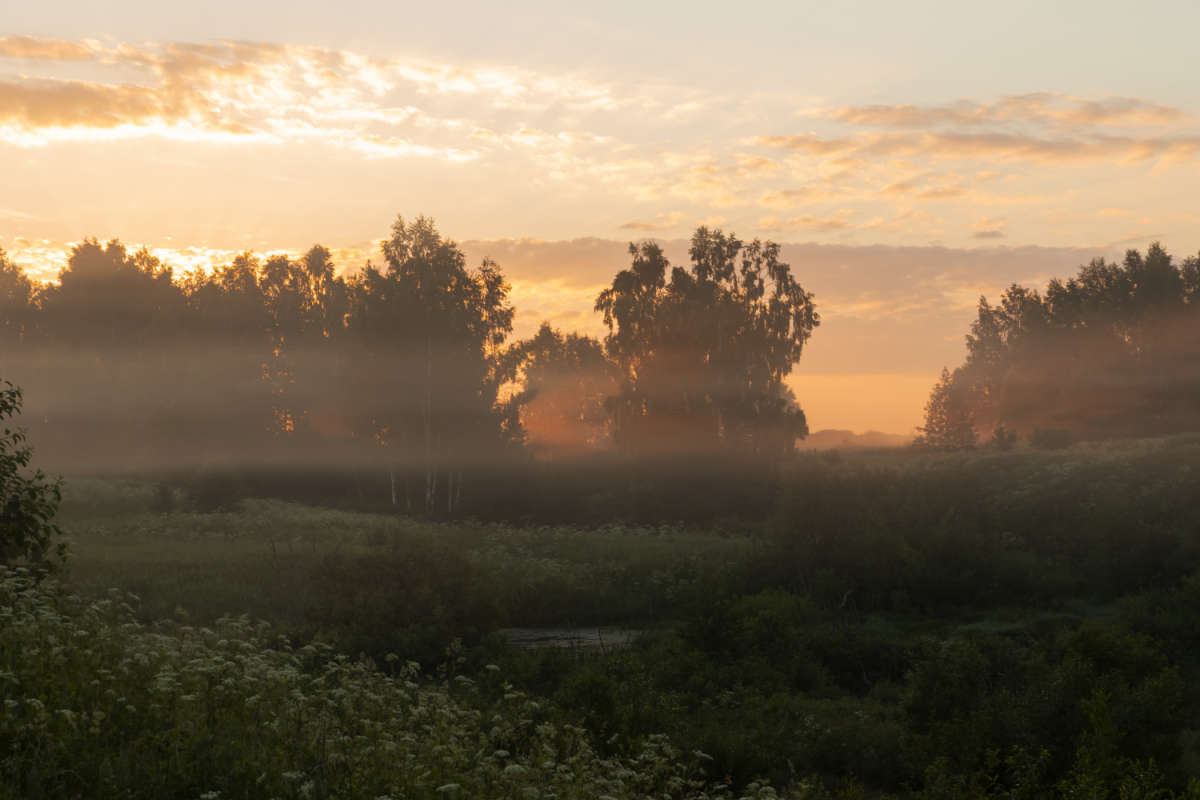 ���� ������� ���.2 ����� ���������  �� PhotoGeek.ru #������ ��� �������