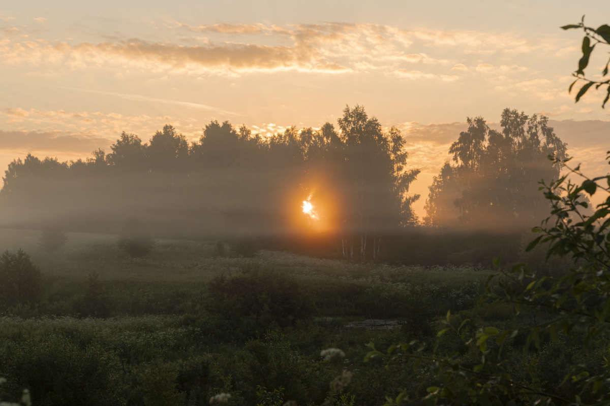 ���� ����� ���������  �� PhotoGeek.ru #������ ��� �������