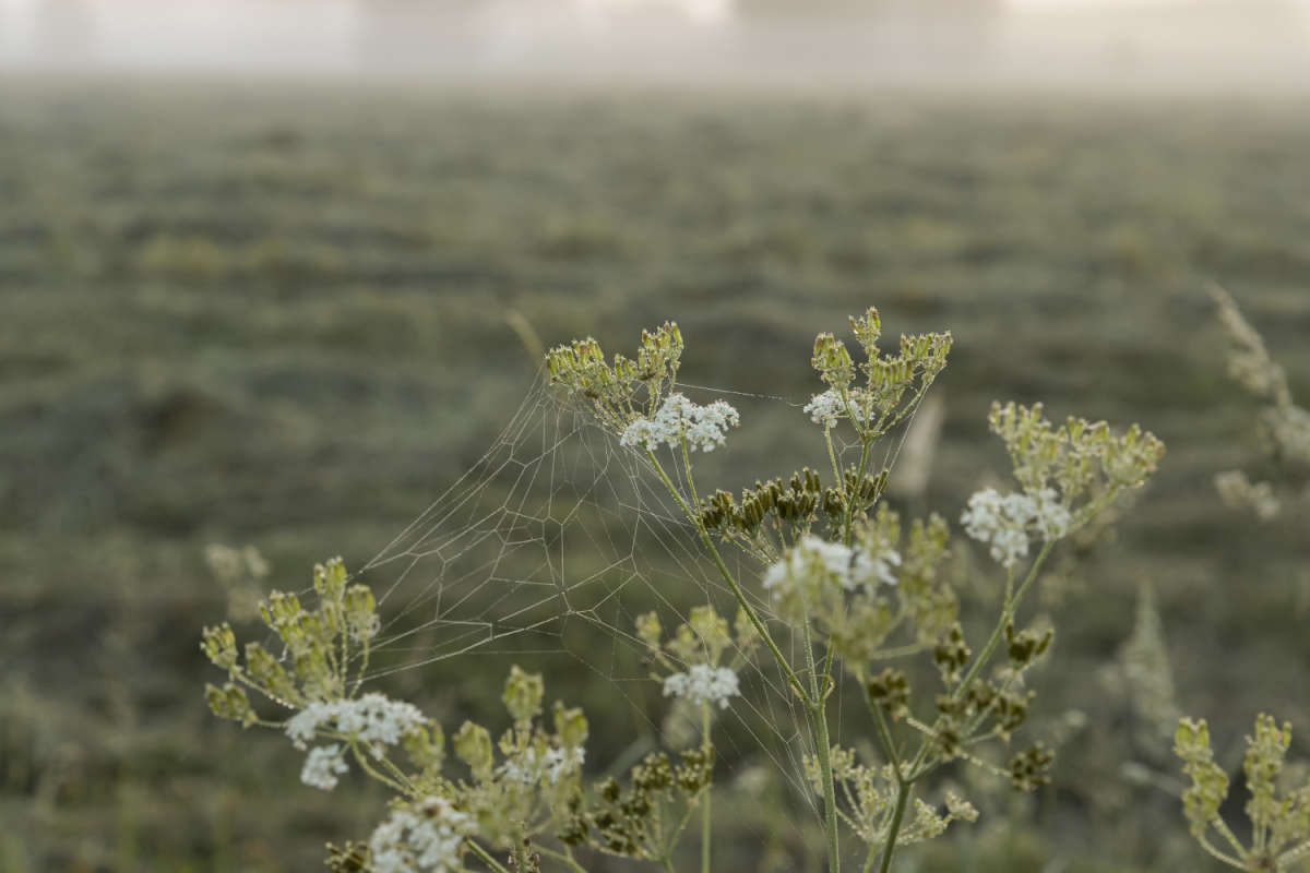 �� ���� ���� ����� ���������  �� PhotoGeek.ru #������ ��� �������