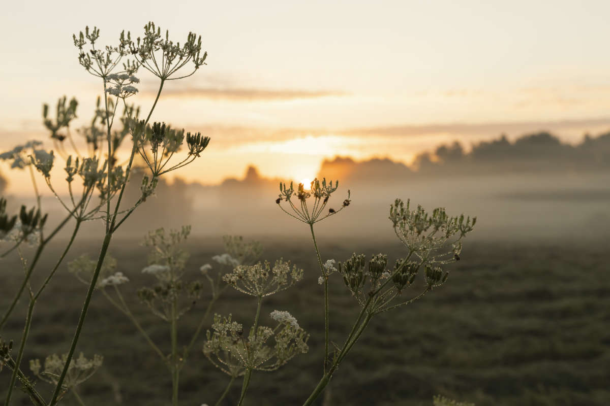 �������� ����� ����� ���������  �� PhotoGeek.ru #������ ��� �������
