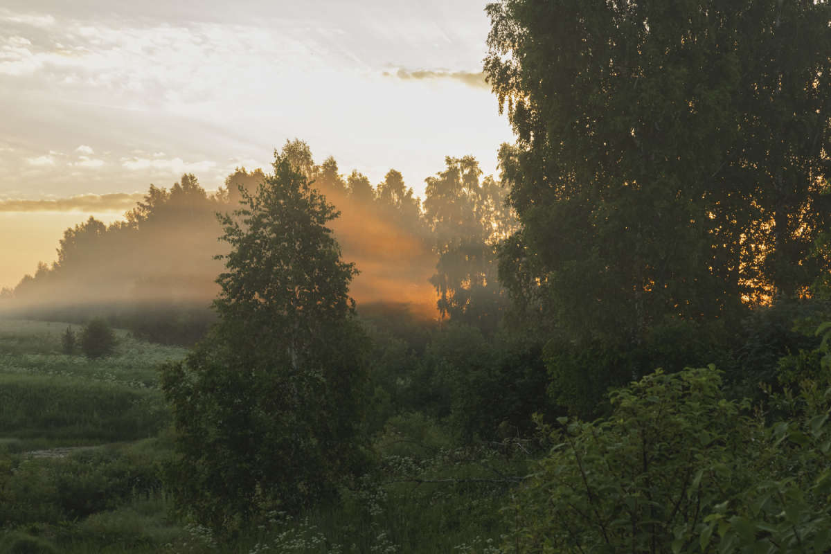 �� ���� ���� ����� ���������  �� PhotoGeek.ru #������ ��� �������