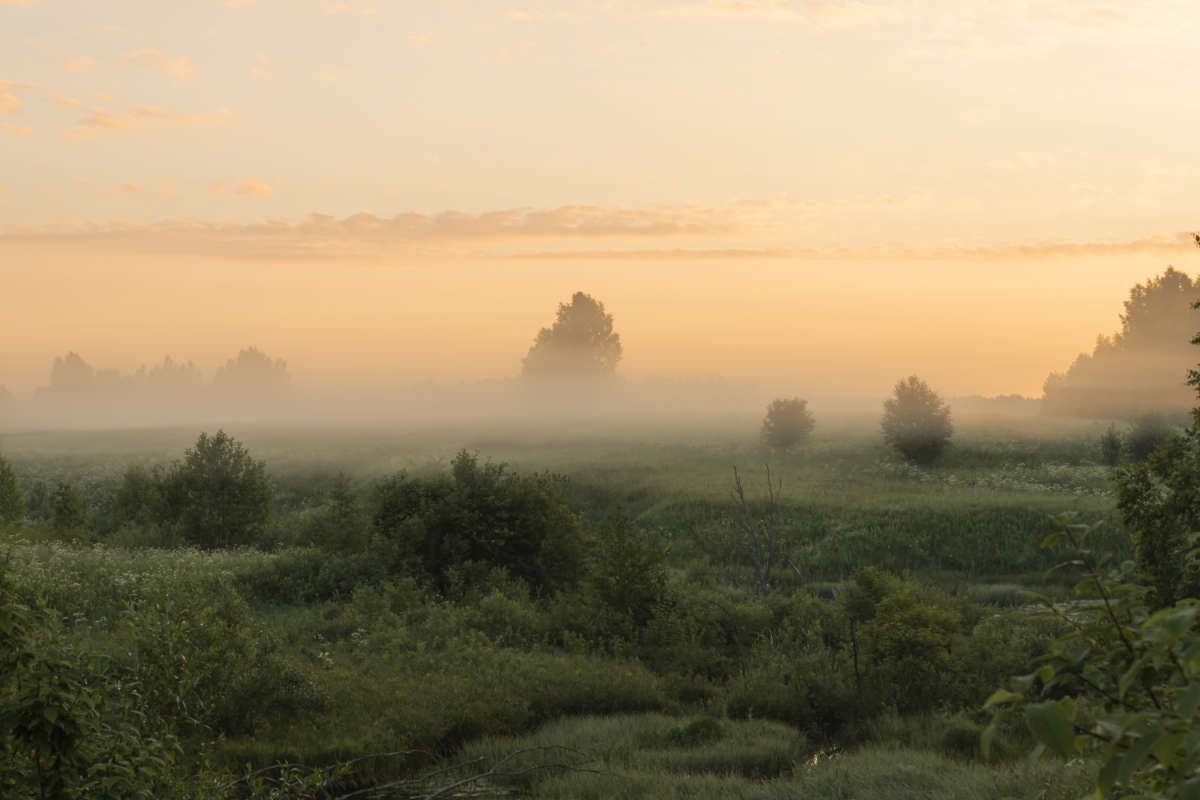 �� �������� ������ ����� ���������  �� PhotoGeek.ru #������ ��� �������