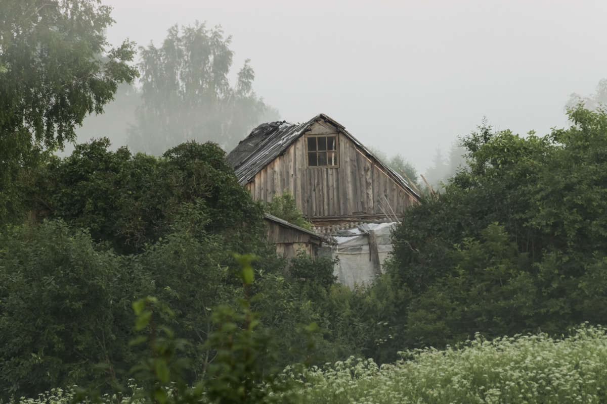 � ������ ����� ���������  �� PhotoGeek.ru #������ ��� �������