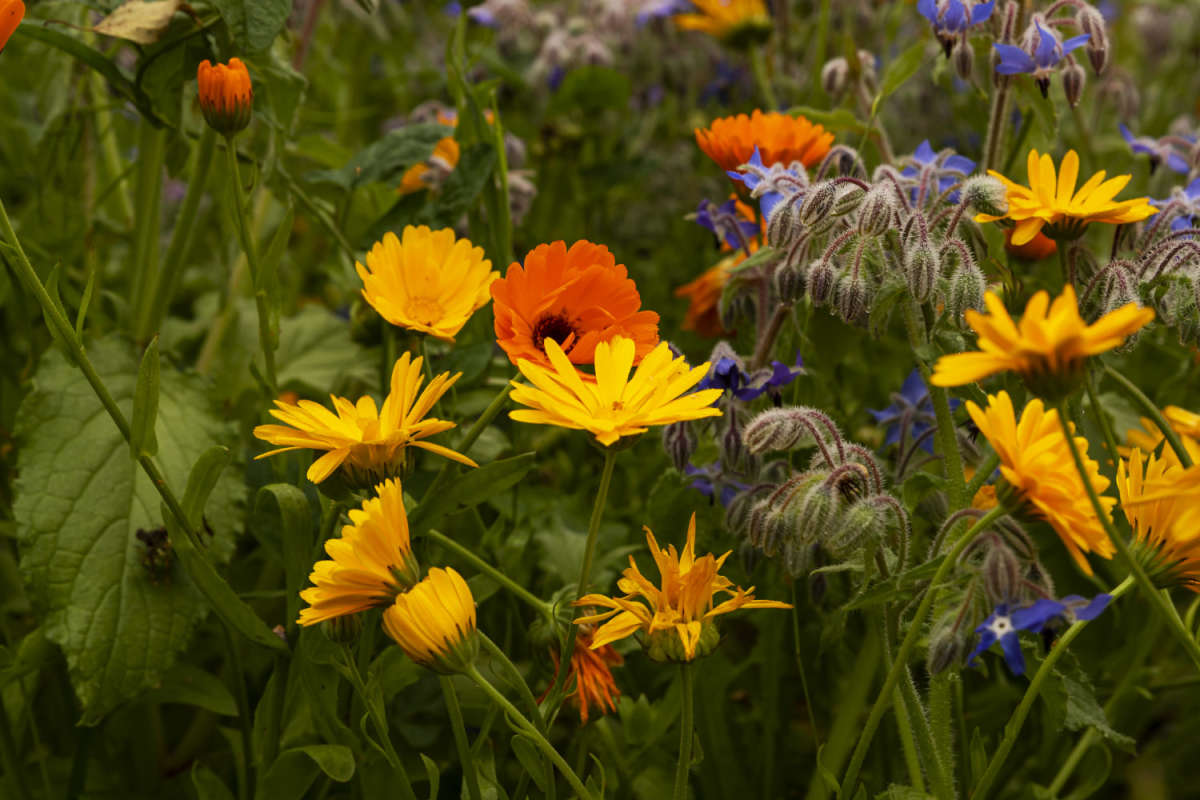 �������� ����� ���������  �� PhotoGeek.ru #������ ��� �������