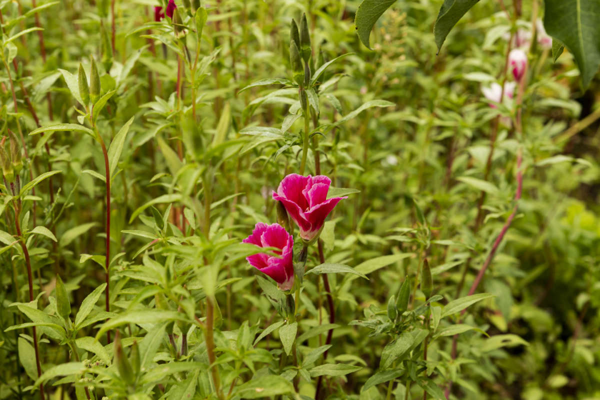 ����������� ����� ���������  �� PhotoGeek.ru #������ ��� �������