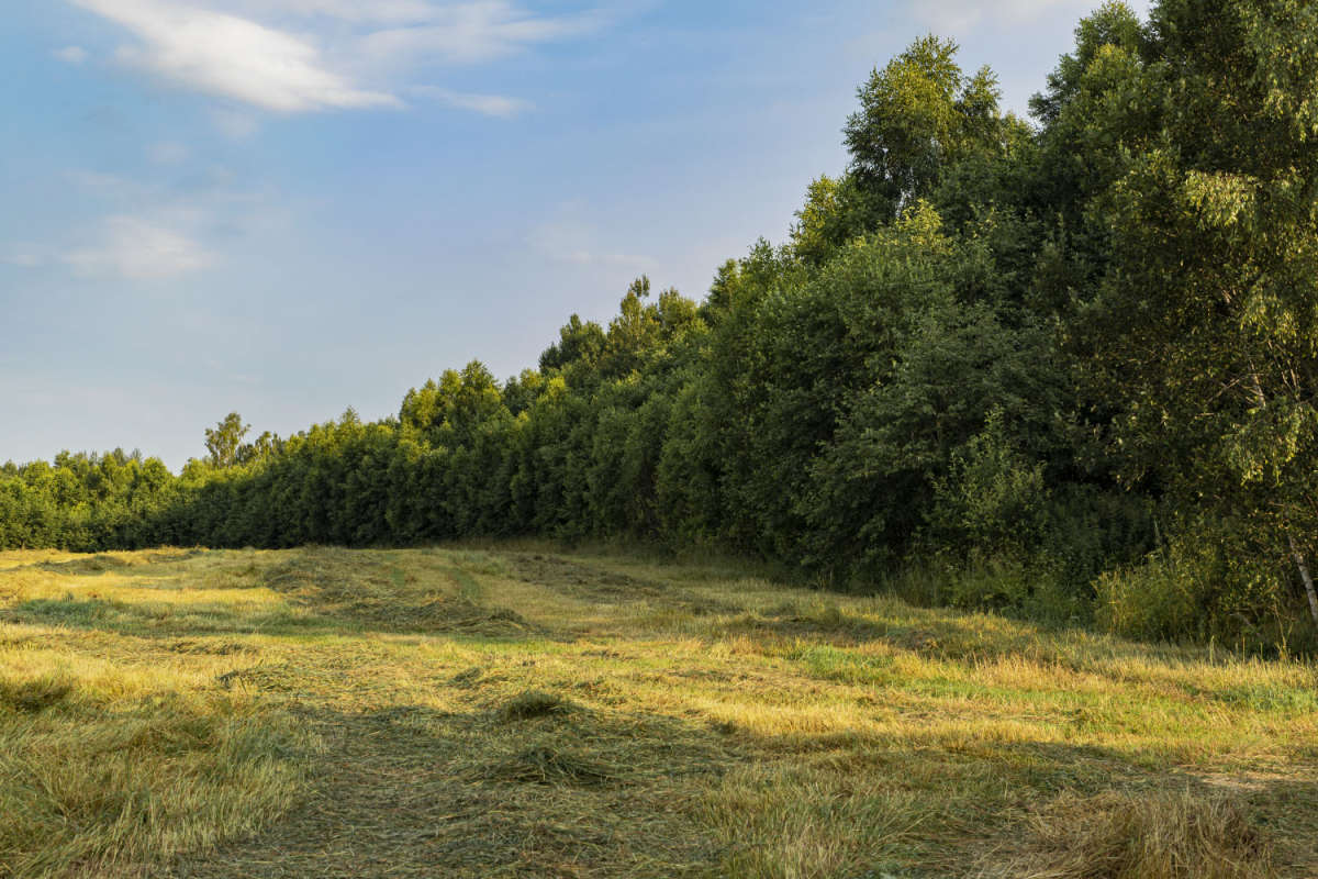 �� ���� ���� ����� ���������  �� PhotoGeek.ru #������ ��� �������