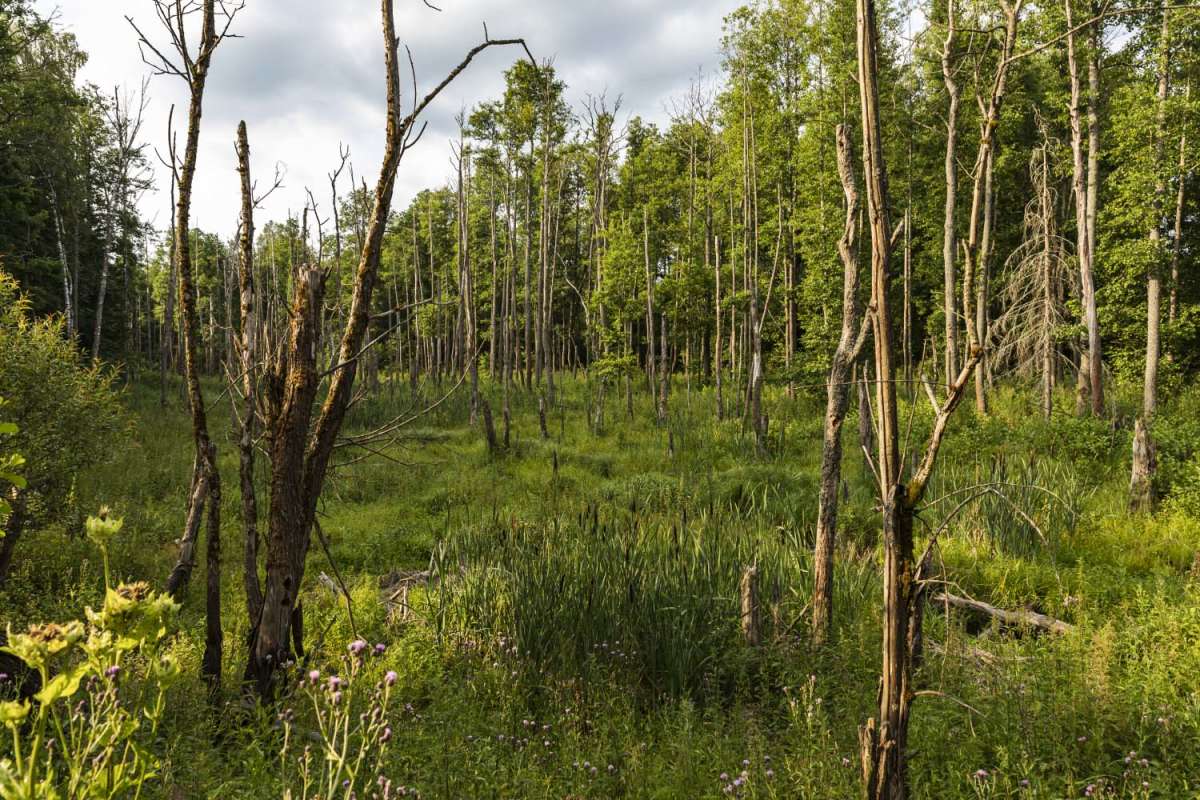 �������� ����� ���������  �� PhotoGeek.ru #������ ��� �������