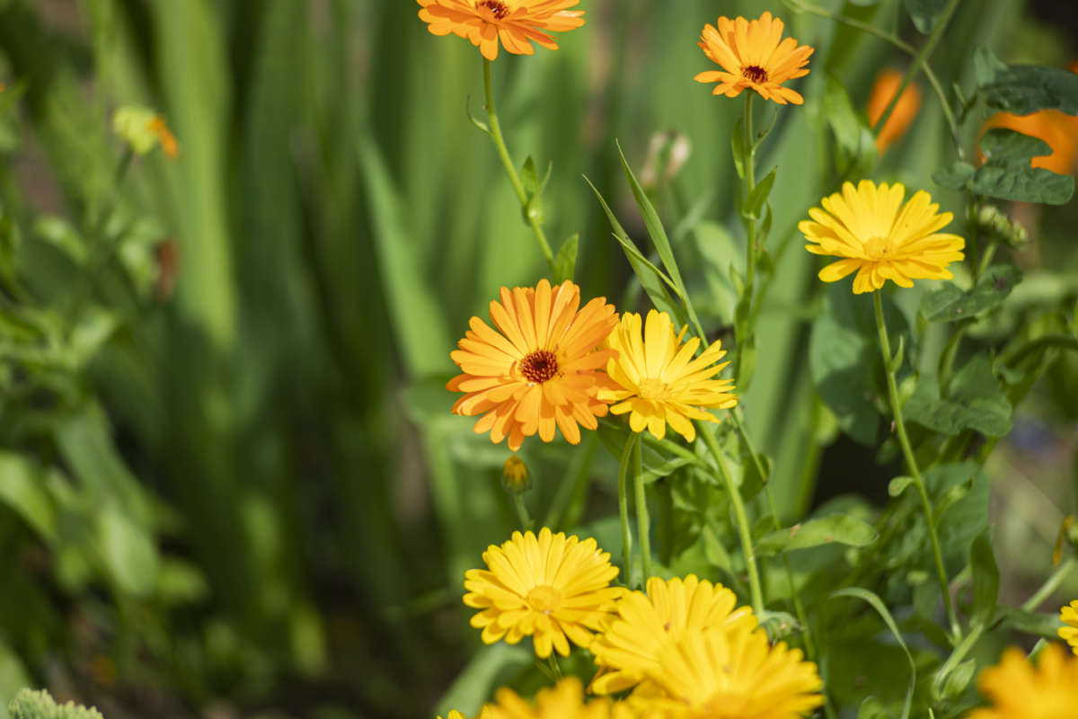 ������� ����� ���������  �� PhotoGeek.ru #������ ��� �������