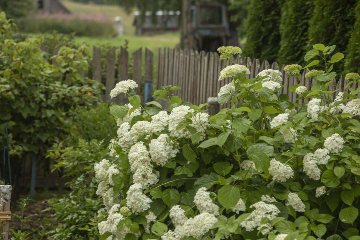 ���������� ����� ���������  �� PhotoGeek.ru #������ ��� �������