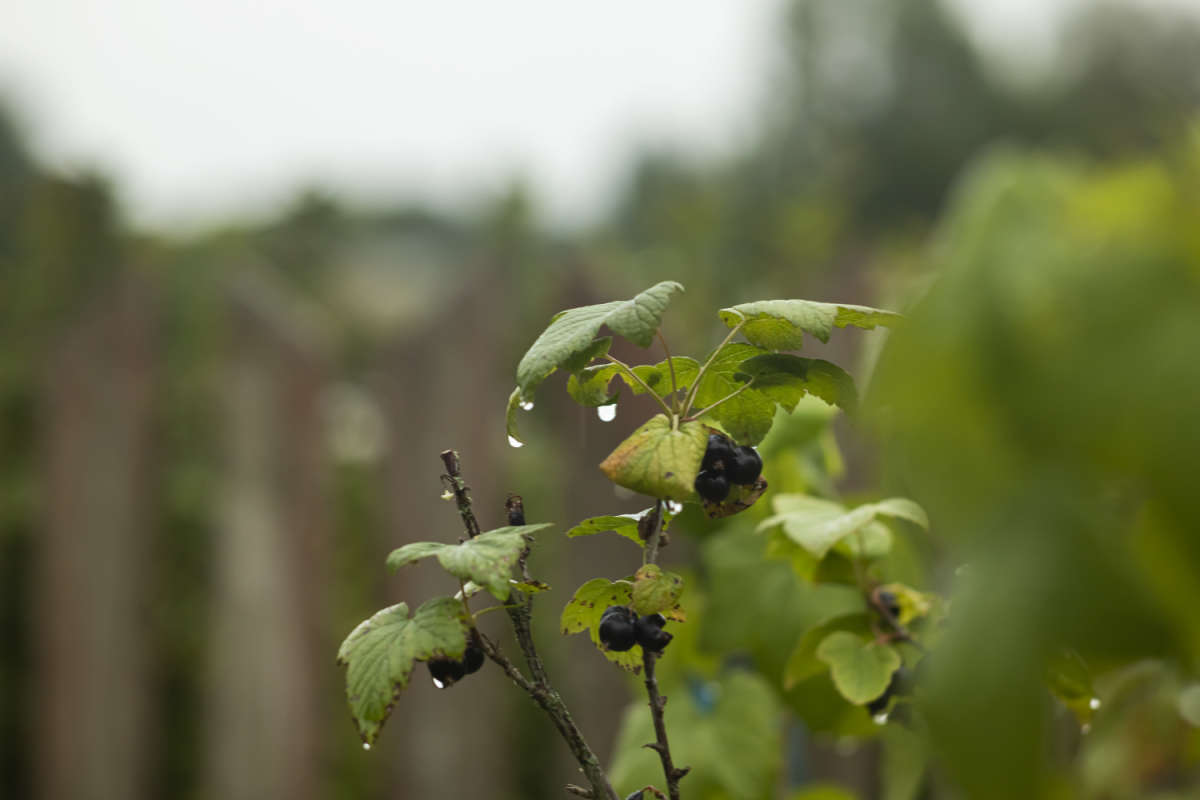 ����� ����� ����� ���������  �� PhotoGeek.ru #������ ��� �������