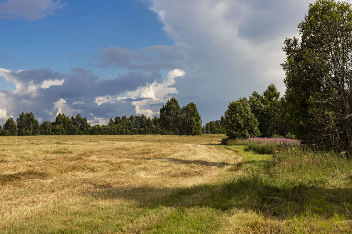 ���� ����� ���������  �� PhotoGeek.ru #������ ��� �������