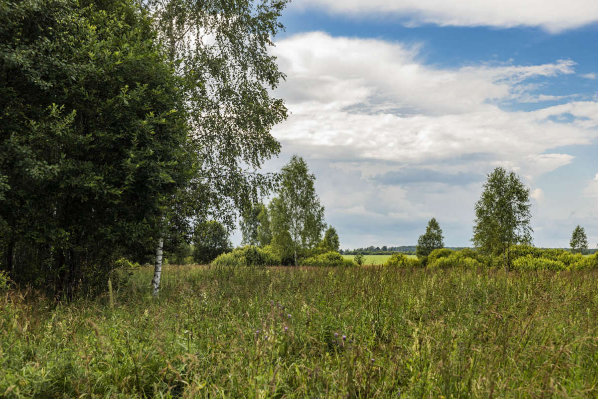 �� ���� ���� ����� ���������  �� PhotoGeek.ru #������ ��� �������