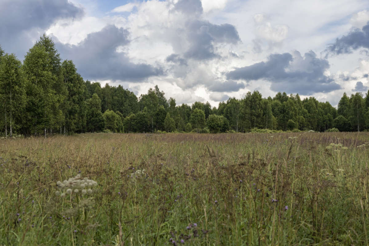 ������ ����� ���������  �� PhotoGeek.ru #������ ��� �������