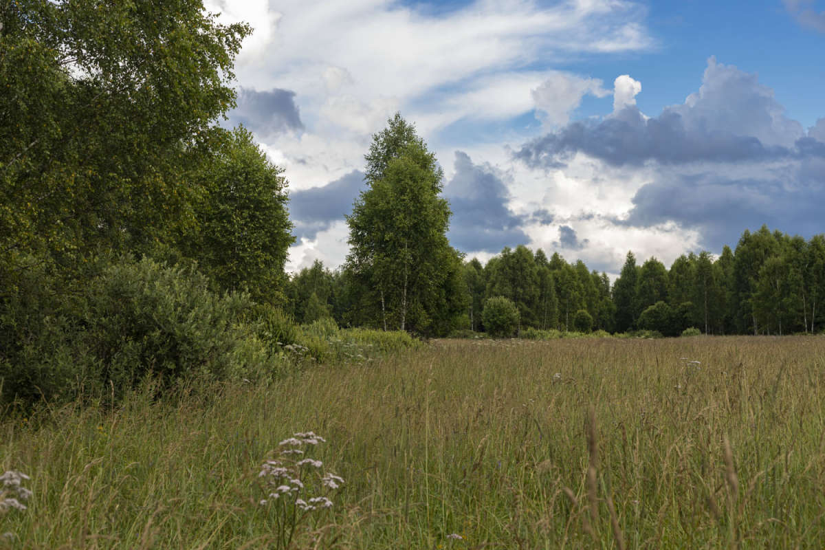 *** ����� ���������  �� PhotoGeek.ru #������ ��� �������