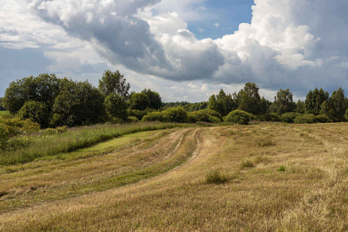 �������� ������ ����� ���������  �� PhotoGeek.ru #������ ��� �������