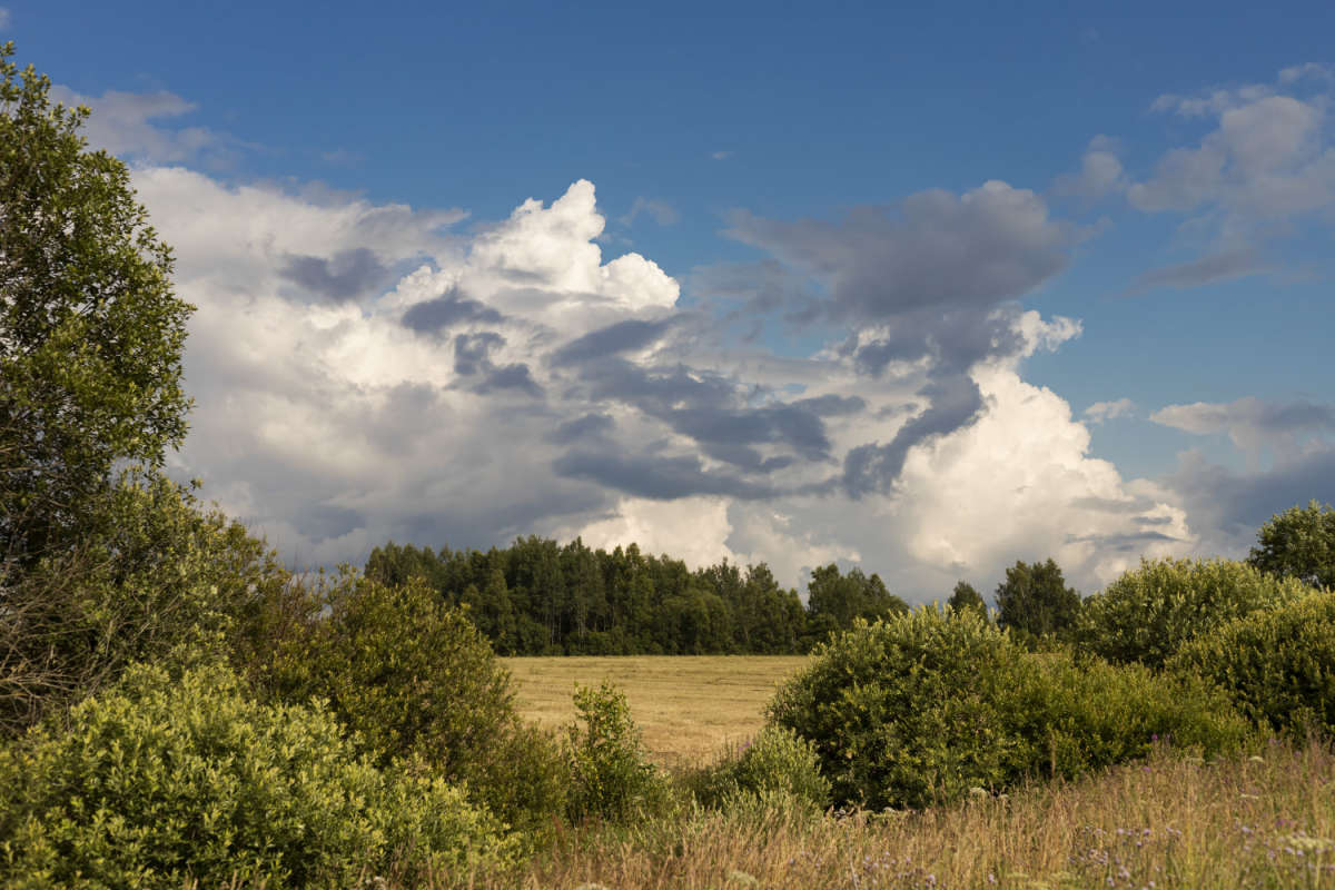 ����� ���� ����� ���������  �� PhotoGeek.ru #������ ��� �������