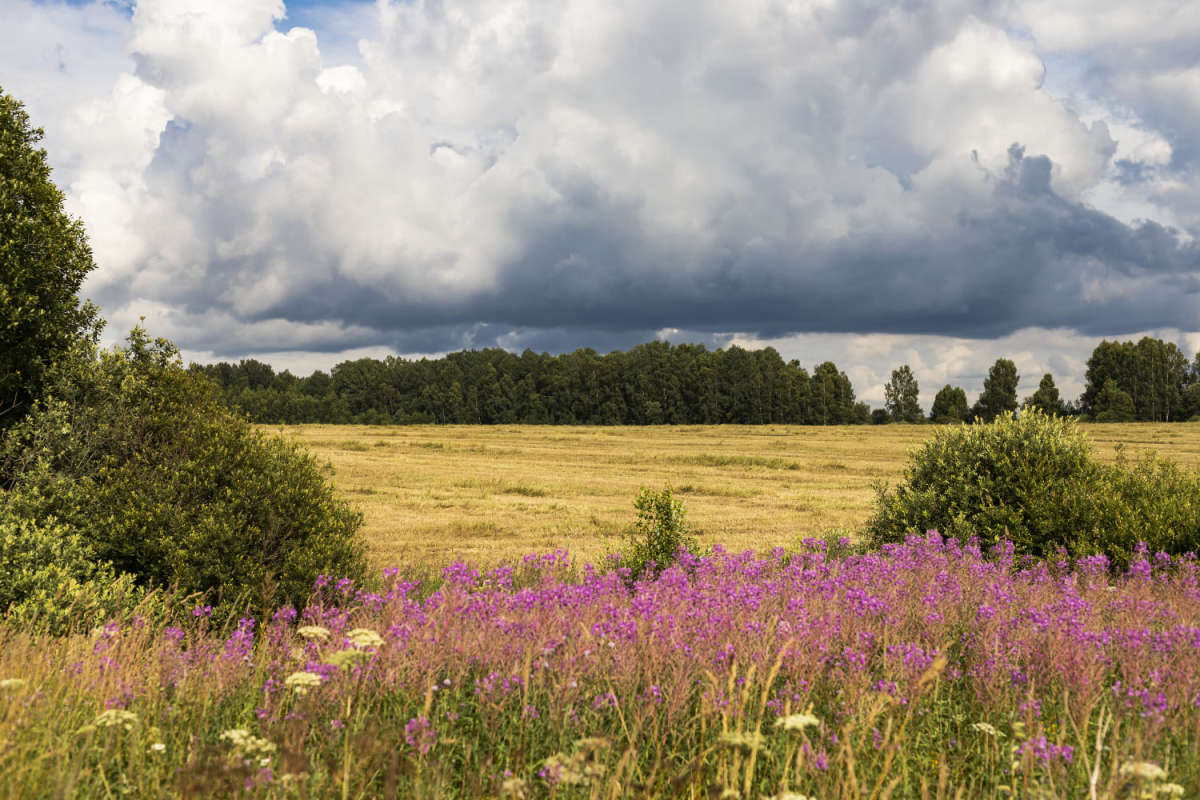 ���� ����� ���������  �� PhotoGeek.ru #������ ��� �������