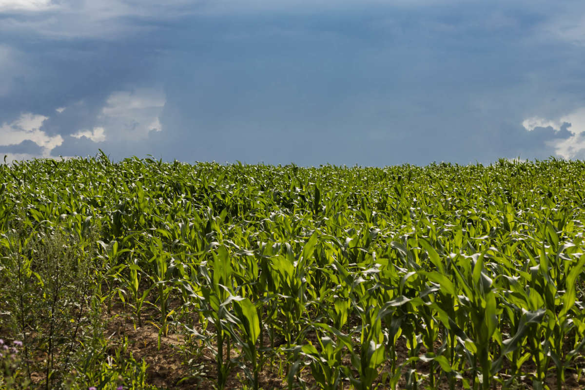 ���������� ���� ����� ���������  �� PhotoGeek.ru #������ ��� �������