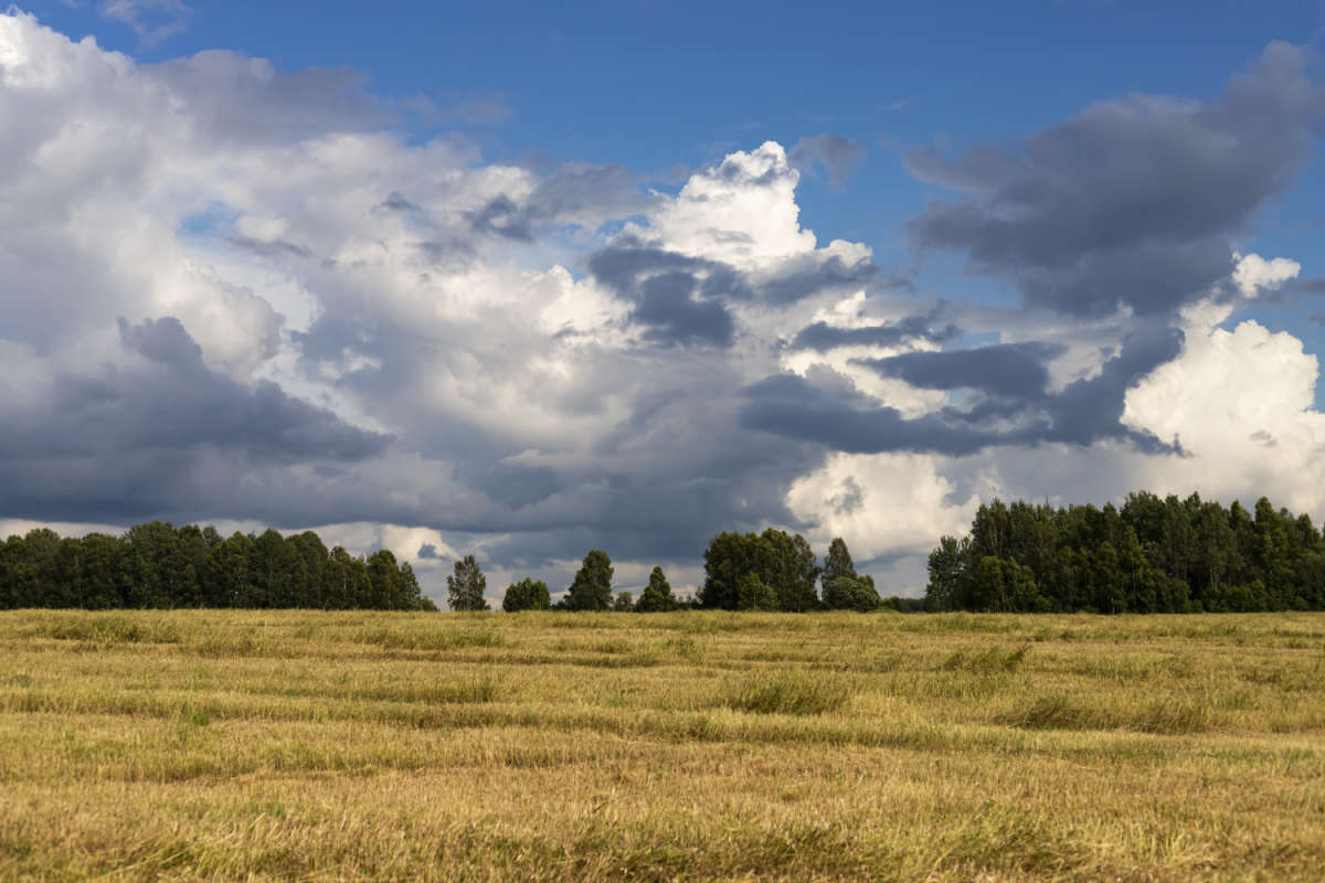 � �������� ����� ���������  �� PhotoGeek.ru #������ ��� �������