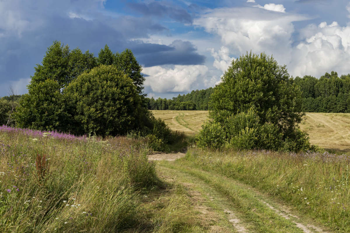 � ��� ����� ���������  �� PhotoGeek.ru #������ ��� �������