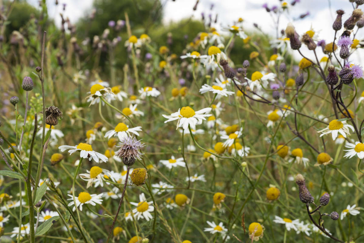 ������� ������� ����� ���������  �� PhotoGeek.ru #������ ��� �������