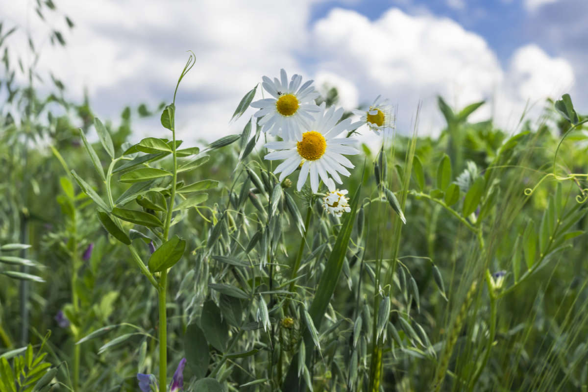 ��� � ��������� ����� ���������  �� PhotoGeek.ru #������ ��� �������