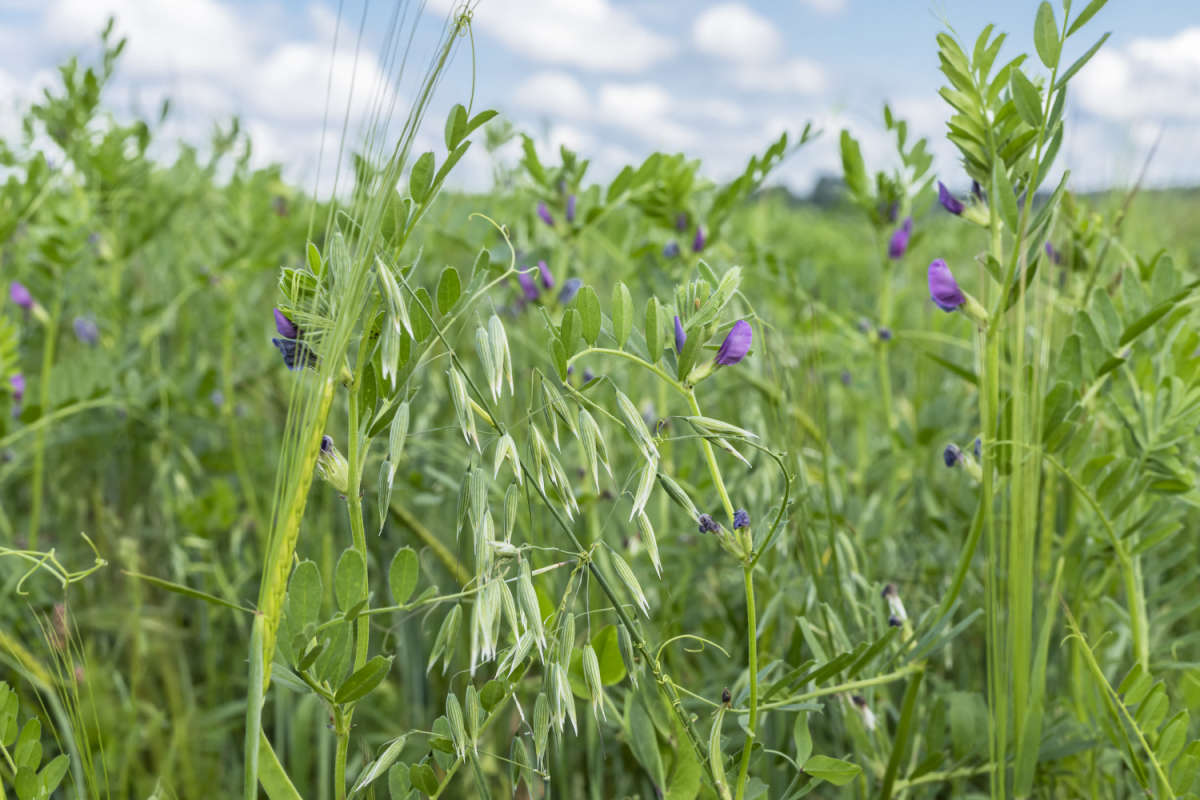 ��� ����� ���������  �� PhotoGeek.ru #������ ��� �������