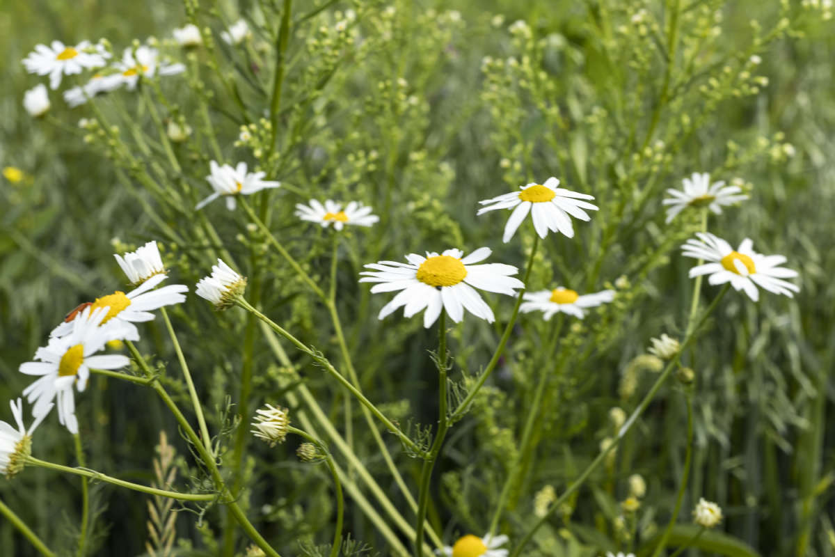 ������� ����� ���������  �� PhotoGeek.ru #������ ��� �������