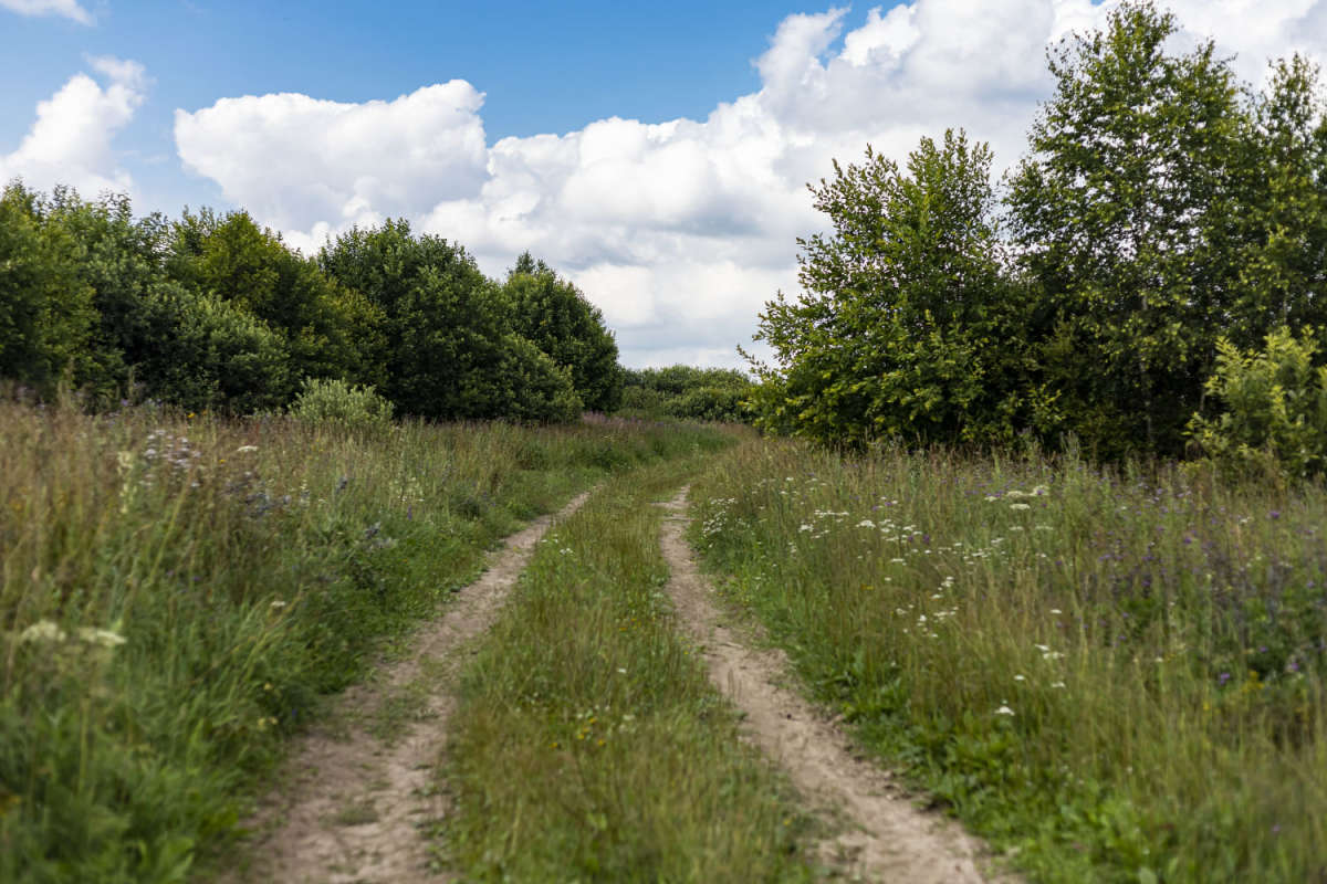 �� ������ ����� ���������  �� PhotoGeek.ru #������ ��� �������