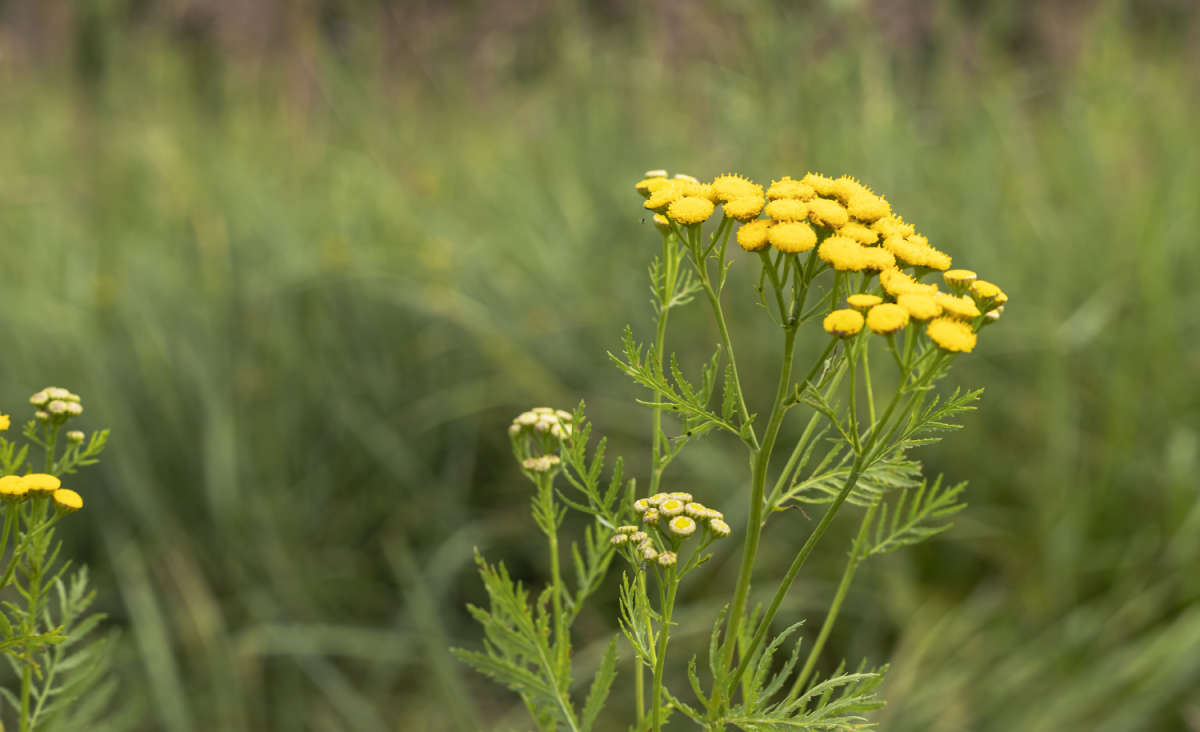 ����� ����� ���������  �� PhotoGeek.ru #������ ��� �������