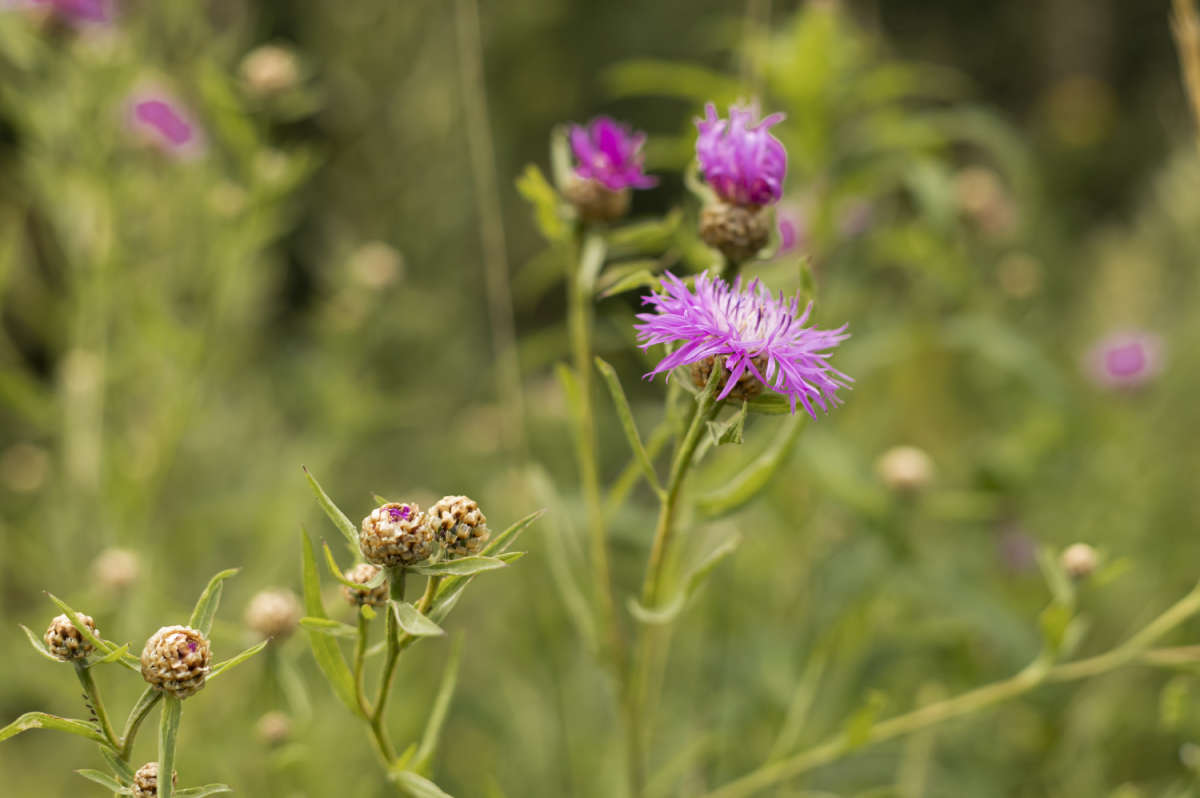 ������ ������� ����� ���������  �� PhotoGeek.ru #������ ��� �������