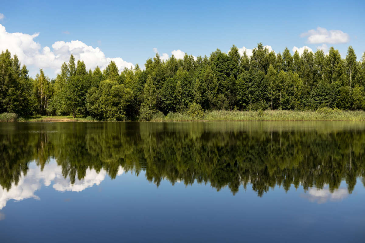 �� ��������� ����� ���������  �� PhotoGeek.ru #������ ��� �������